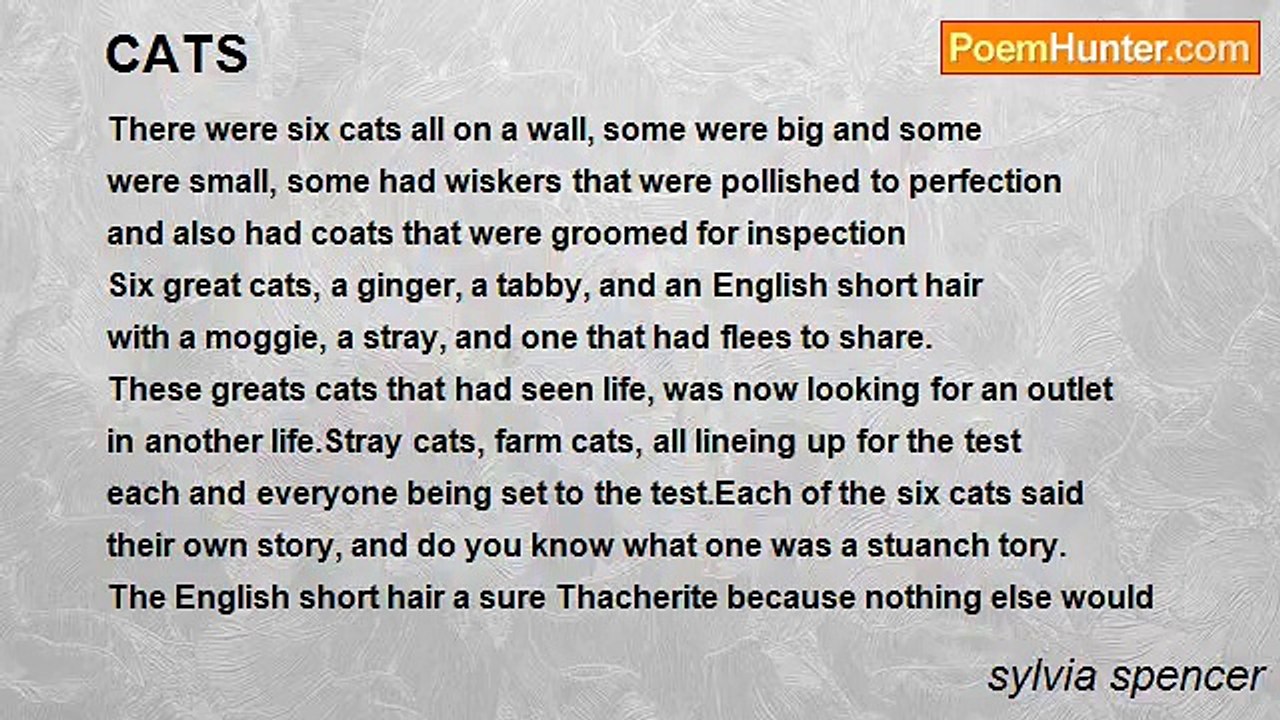 sylvia spencer - CATS