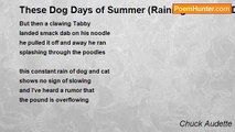 Chuck Audette - These Dog Days of Summer (Raining Cats and Dogs)