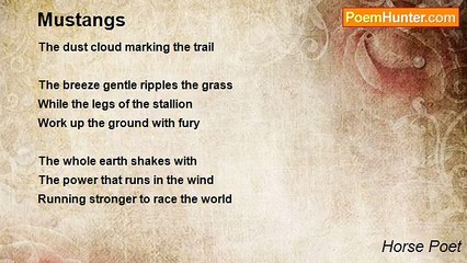 Horse Poet - Mustangs