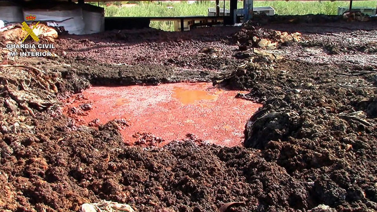 Guardia Civil desmantela trama de vertido ilegal de residuos peligrosos en Murcia