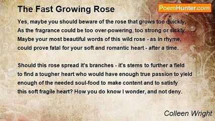 Colleen Wright - The Fast Growing Rose