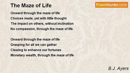 B.J. Ayers - The Maze of Life