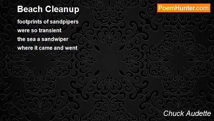 Chuck Audette - Beach Cleanup