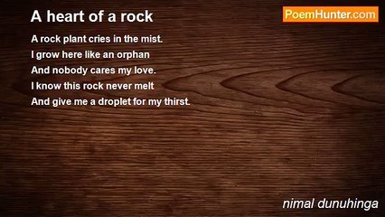 nimal dunuhinga - A heart of a rock