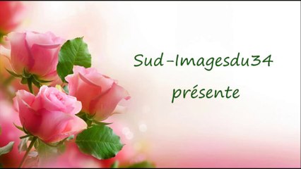 TENDRESSE & ROMANTISME