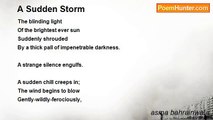 asma bahrainwala - A Sudden Storm