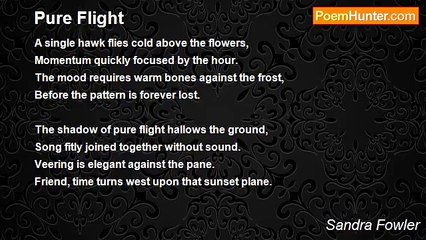 Sandra Fowler - Pure Flight