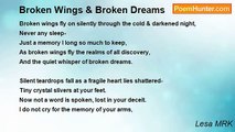 Lesa MRK - Broken Wings & Broken Dreams
