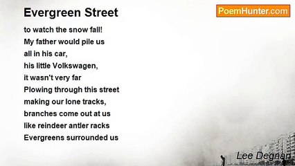 Lee Degnan - Evergreen Street
