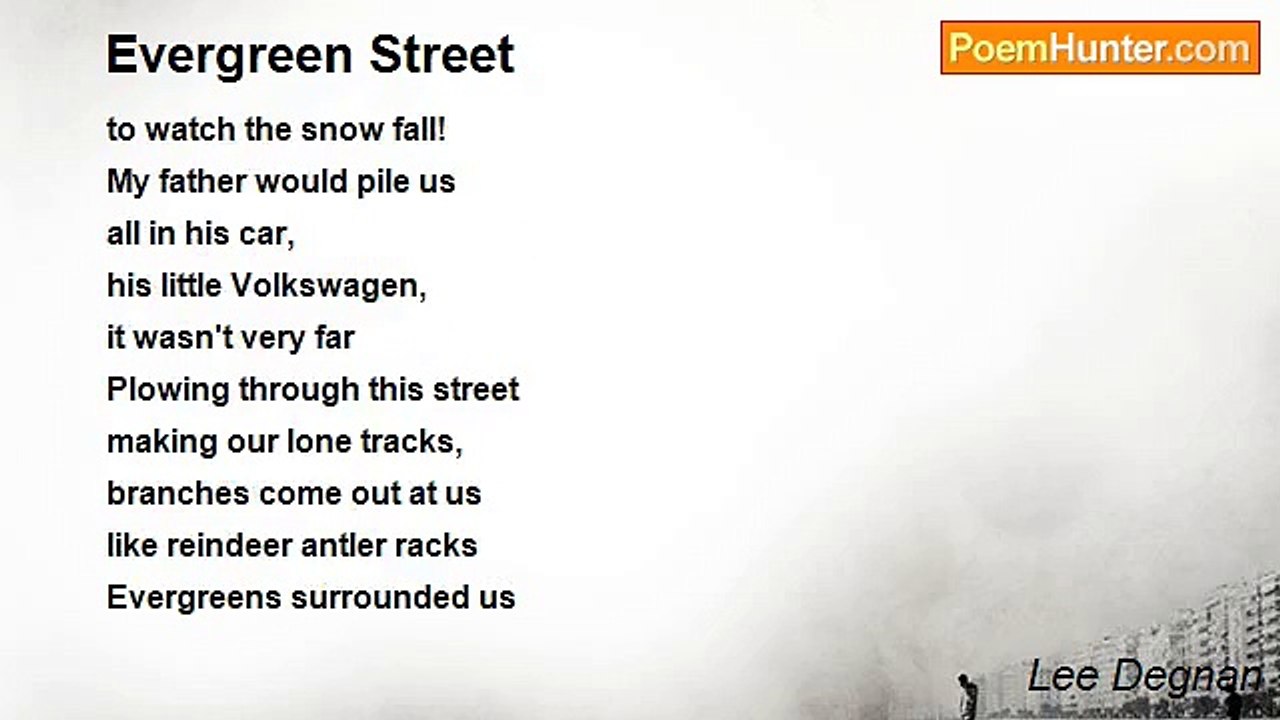 Lee Degnan - Evergreen Street