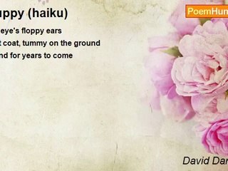 David Darbyshire - Puppy (haiku)