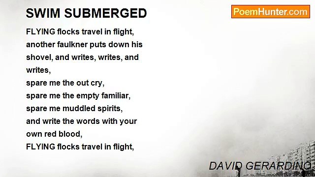 DAVID GERARDINO - SWIM SUBMERGED