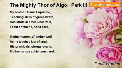 Geoff Warden - The Mighty Thor of Algo.  Park III