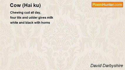 David Darbyshire - Cow (Hai ku)