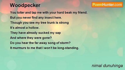 nimal dunuhinga - Woodpecker