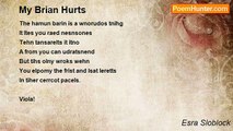 Esra Sloblock - My Brian Hurts