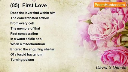 David S Dennis - (85)  First Love
