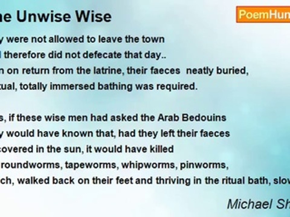 Michael Shepherd - The Unwise Wise