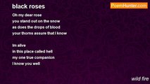 wild fire - black roses