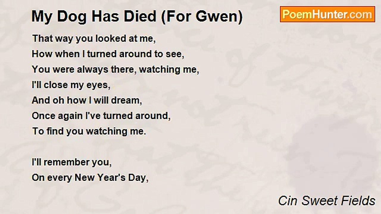 Cin Sweet Fields - My Dog Has Died (For Gwen)