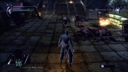 Demon's Souls Wanderer Walkthrough Part 3