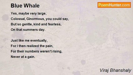 Viraj Bhanshaly - Blue Whale