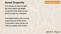 Janet K. Rauch - Sweet Dragonfly