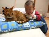 kedinin kuyruğunu ısıran bebek -)