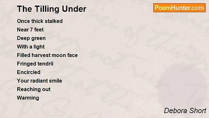 Debora Short - The Tilling Under