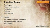 Matt Mondschein - Counting Crows