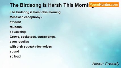 Alison Cassidy - The Birdsong is Harsh This Morning