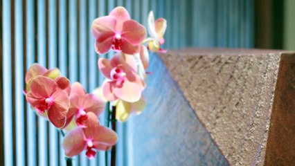 Women in Food: Niki Nakayama, Kaiseki Chef at N/Naka