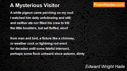 Edward Wright Haile - A Mysterious Visitor
