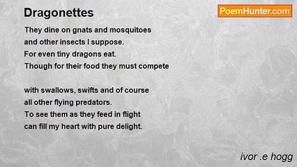 ivor .e hogg - Dragonettes