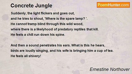 Ernestine Northover - Concrete Jungle