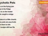 David Darbyshire - Psychotic Pets