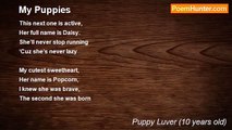 Puppy Luver (10 years old) - My Puppies