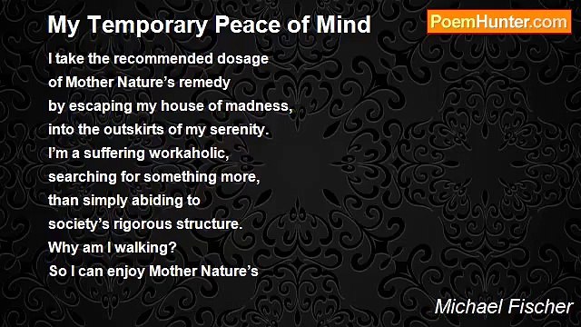 Michael Fischer - My Temporary Peace of Mind
