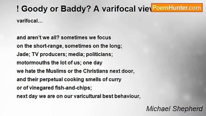 Michael Shepherd - ! Goody or Baddy? A varifocal view