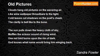 Sandra Fowler - Old Pictures