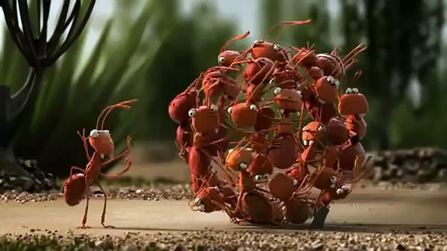 Müthiş Komik Video İzle