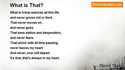 David Taylor - What is That?