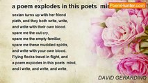 DAVID GERARDINO - a poem explodes in this poets  mind