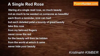 Kristinahh KIMBER - A Single Red Rose