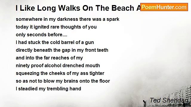 Ted Sheridan - I Like Long Walks On The Beach And Sunsets