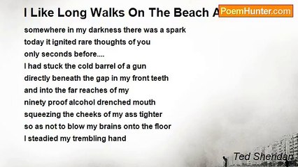 Ted Sheridan - I Like Long Walks On The Beach And Sunsets
