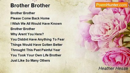 Heather Hesse - Brother Brother