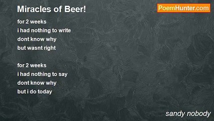 sandy nobody - Miracles of Beer!