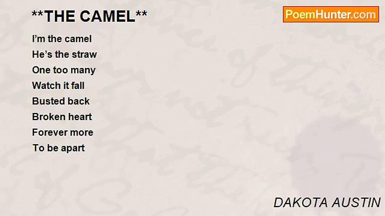 DAKOTA AUSTIN - **THE CAMEL**