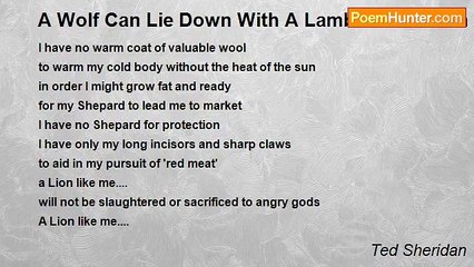 Ted Sheridan - A Wolf Can Lie Down With A Lamb...But A Lion And A Lamb?